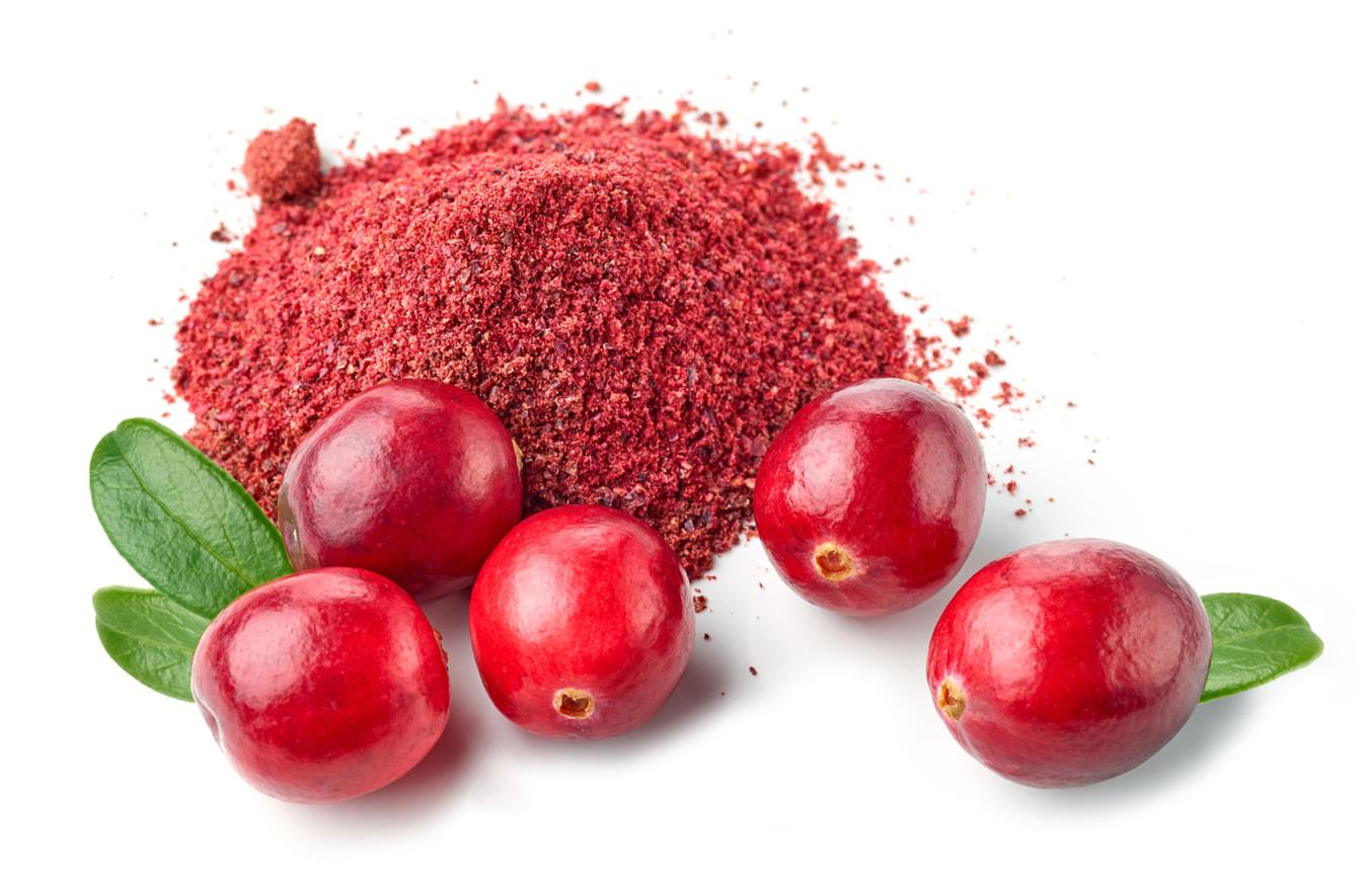 Cranberry Powder — Spray-Dried Fruit Powders